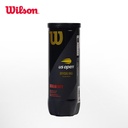 威尔胜-WRT107300  US OPEN RD TBALL 3 BALL CAN