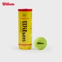 威尔胜-WR8218402001  CHAMPIONSHIP LEGACY 3 BALL CAN Y  网球（3粒装）
